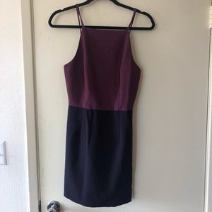 Brand New French Connection Dress